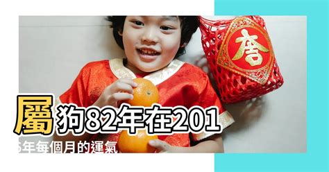 1982屬狗十年運勢|82年狗40岁后十年大运运程，82年属狗人未来十年运。